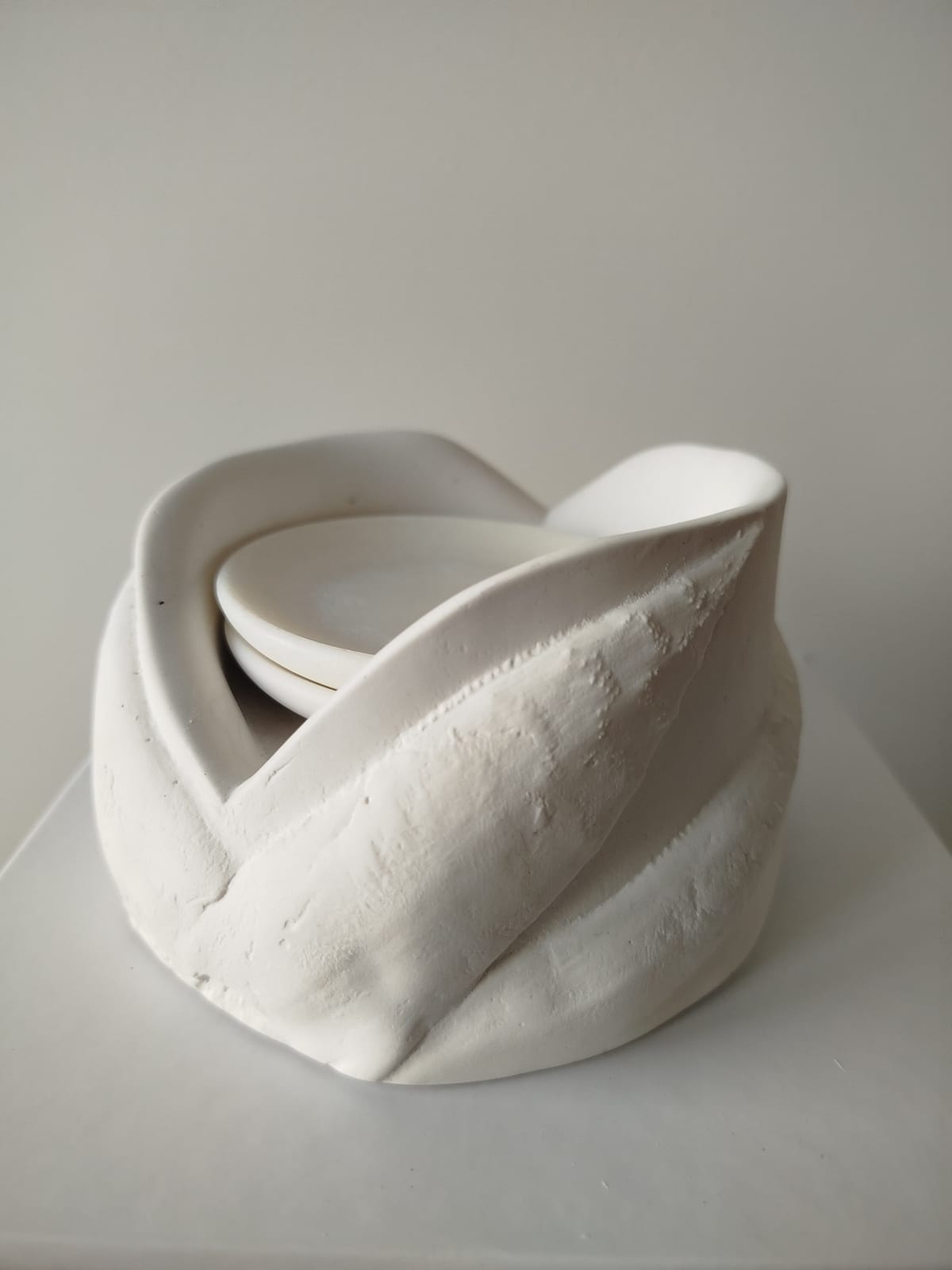 Aloe sculpture — 1